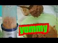 I tried making peanut butter with crunchy peanuts using nutritional extractor! (SAVAGE)