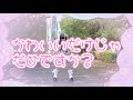 【める】かわいいだけじゃだめですか?/CUTIE STREET【踊ってみた】