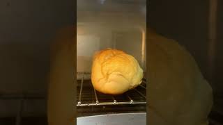 Cópia De Copy 8F619Ec4 4208 4Bcb B8Ae 158970859242