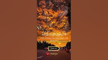 قل إن كنتم تحبون الله فاتبعوني || #أحمد_العجمي سورة آل عمران #القرآن_الكريم #islam #quran