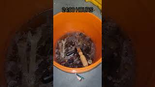 WILL VINEGAR FIX RUSTY TOOLS?