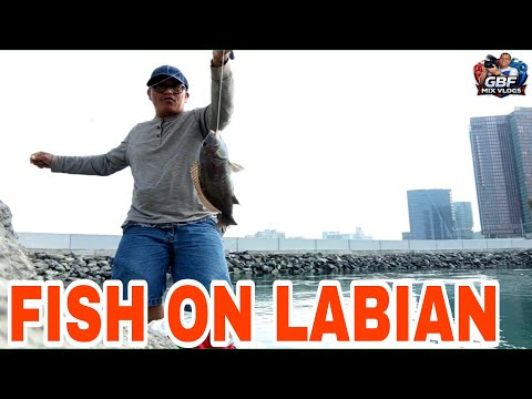 FISH ON LABI-AN @gbf