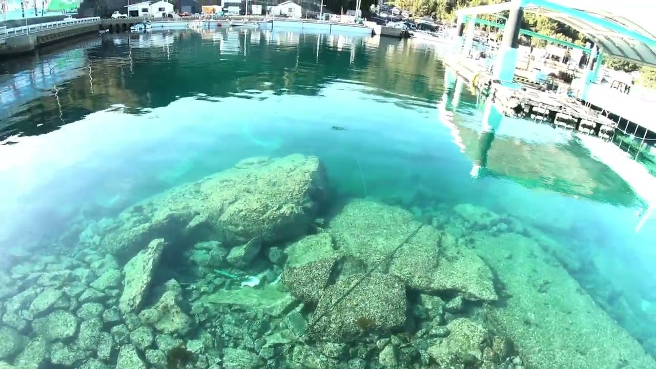 鷹島　ライトゲーム