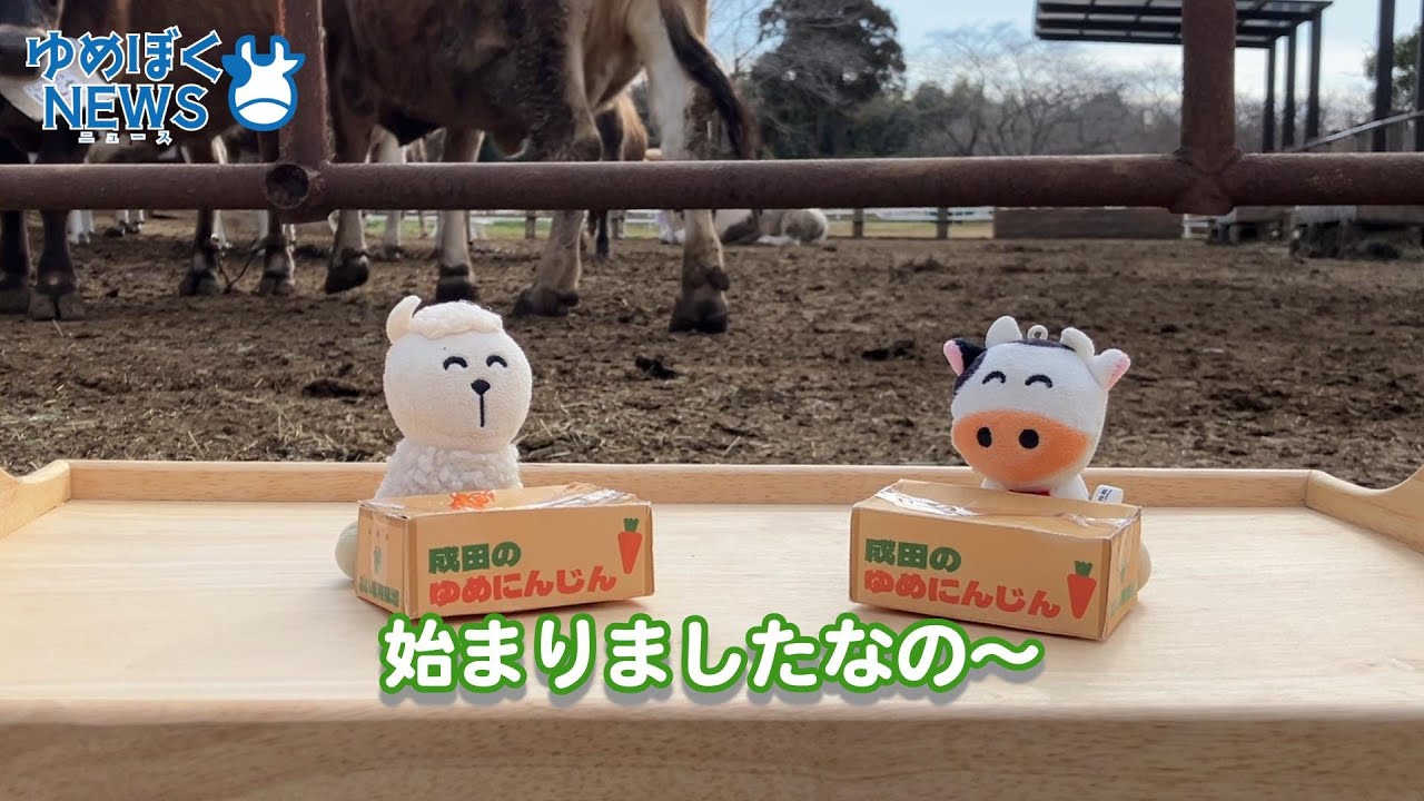 ゆめぼくNEWS【第1回〜初回編〜】 - YouTube