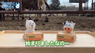 ゆめぼくNEWS【第1回〜初回編〜】 - YouTube