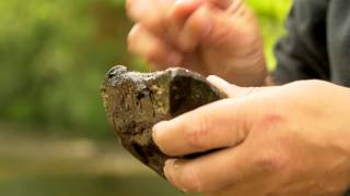 Natural Futures: River Features