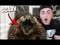NEW PET SCARIER THAN MY DARK WEB PIRANHA!! (SCARIEST PET I&#39;VE EVER OWNED ALLIGATOR SNAPPING TURTLE!)