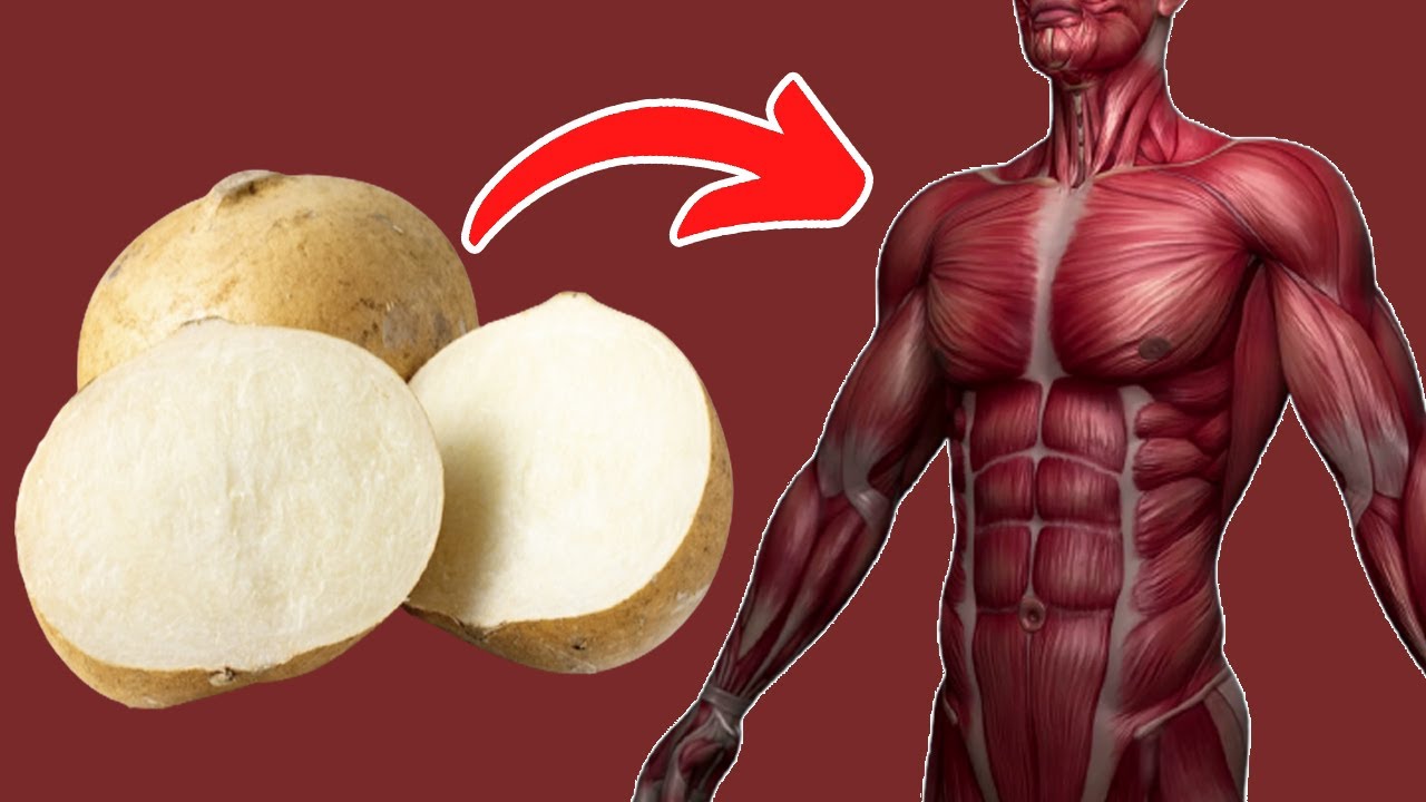 Top 11 Amazing Jicama Benefits Best Health Benefits of Jicama YouTube