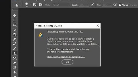 How to Fix Camera RAW Files opening Error "Photoshop Cannot Open this file" in Photoshop CC