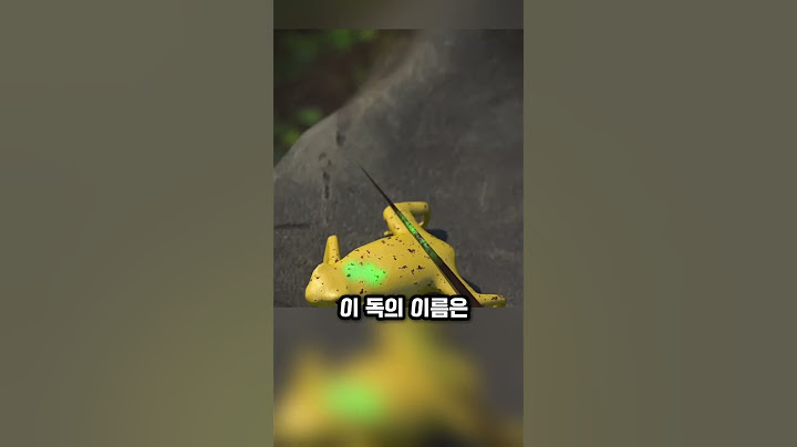한 방에 간다 독 개구리의 살벌한 진실