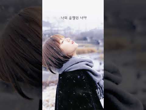 디셈버 - 너에게 다줄게(feat. 이진이) 가사