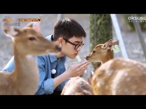 엑사세 도경수(디오D.O.) cut ♡ ♥사슴들도 사랑하는 낭군님♡ ♥ (feat.짱돌)