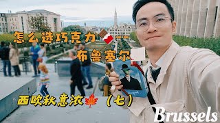 「西欧秋意浓•七」#brussels 海选巧克力？！布鲁塞尔究竟有多“甜”…还有哪些吃逛好地方，本期全揭晓！