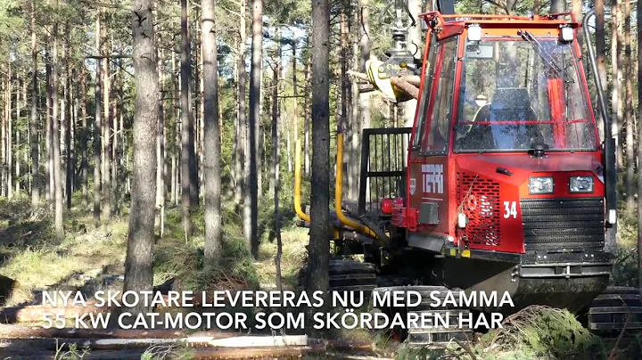 Terri 34 C harvester and forwarder in swamp logging