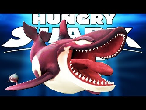 КАСАТКА ВЫХОДИТ НА ОХОТУ, ОХОТА НА АКУЛ | Hungry Shark World