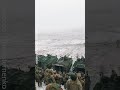 🙏Від такого мурахи по шкірі! Наші воїни ГОТУЮТЬСЯ #shorts
