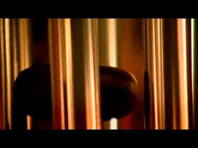 TROM: The Reality of Me