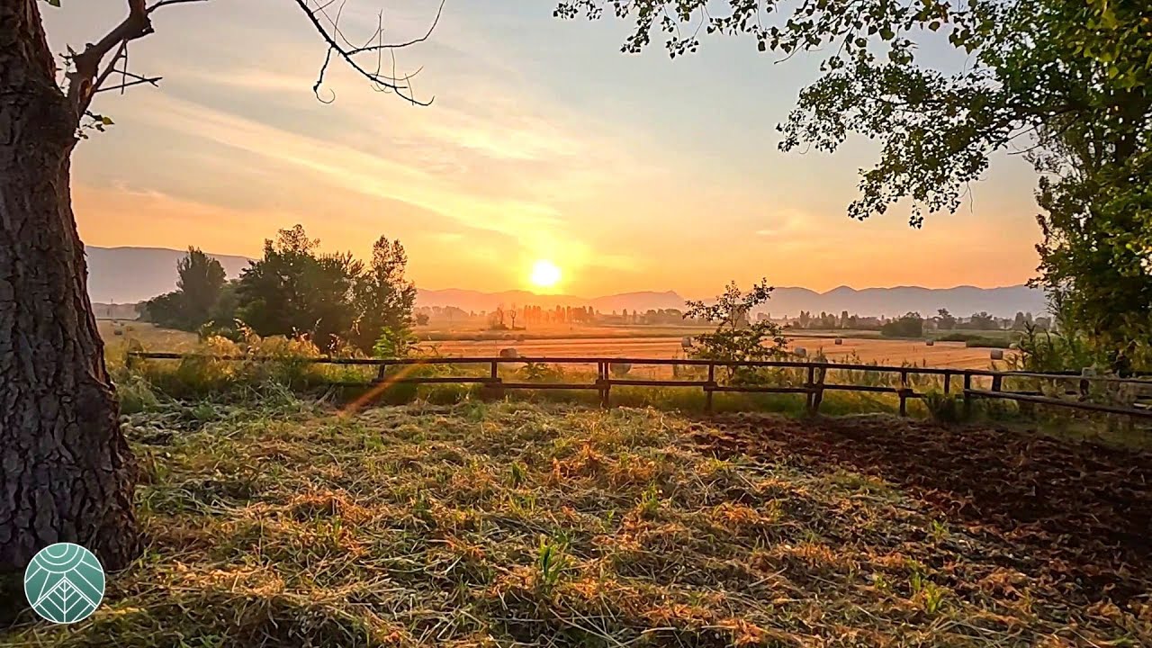 Relaxing Sunrise Bike Ride Through Beautiful Umbria ~ ASMR