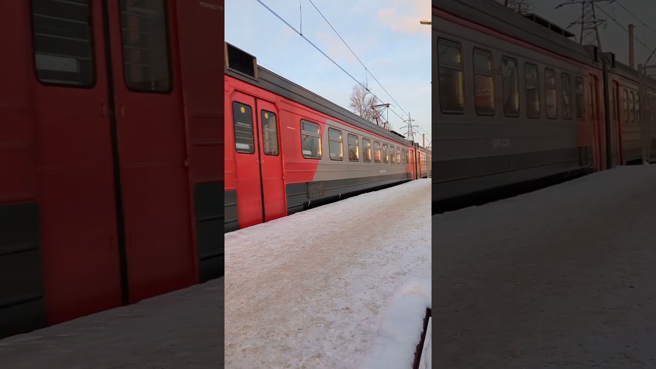 ЭД4М 0232 прибыл на фрязино товарная 