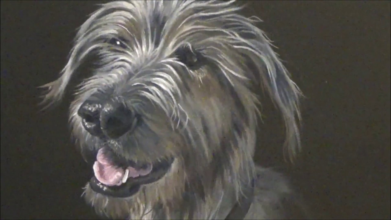 How to paint Dog Portraits Irish Wolfhound "Kya" YouTube