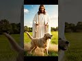 God’s Miracle