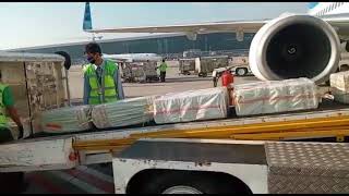 Proses loading barang kargo di pesawat garuda