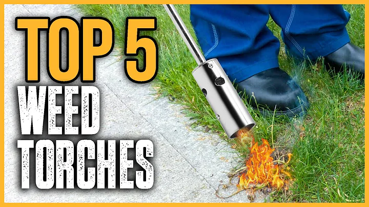 Best Weed Torches 2024 | Top 5 Best Weed Torches On Amazon