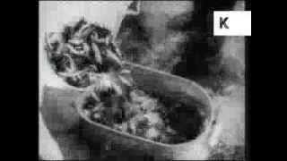 1940s Canada, Plane Air Drops Fish Into Lake, Archive Footage