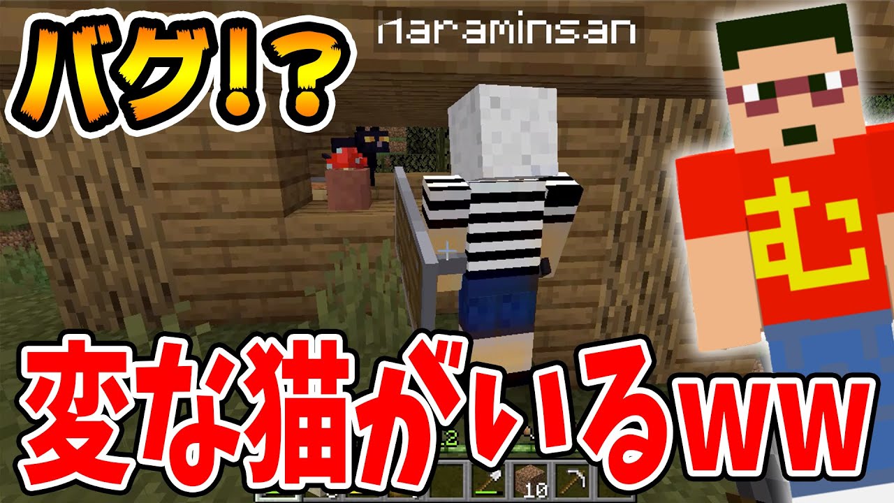 むらクラ3 Part12 マイクラがバグった 魔女の家の黒猫 様子がおかしいぞ マインクラフト Youtube