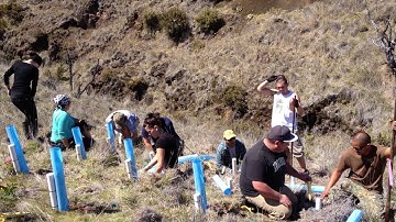 Meet Dr. Jeremy Pinto, Research Plant Physiologist and Tribal Nursery Specialist