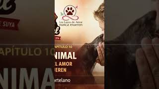 Voz Animal , Los lazos del amor nunca mueren, con Veronica Hortelano #podcast #dueloanimal