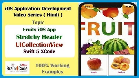 Create iOS App to Make Stretchy Header in Collection View with Swift 5 XCode | Hindi | Learn iOS App