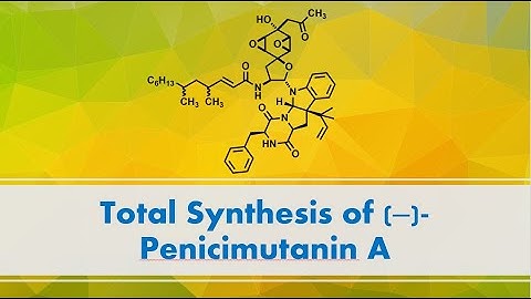 Total Synthesis of (‒)-Penicimutanin A