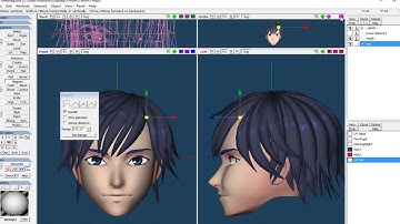 Modeling Hair in Metasequoia