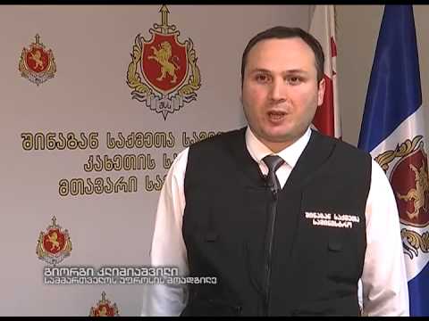 შსს-მ ახმეტაში უკანონოდ მოჭრილი ხე-ტყე ამოიღო