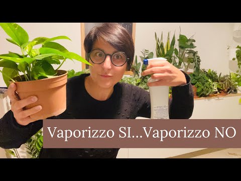 Video: Cosa significa vaporizzare?