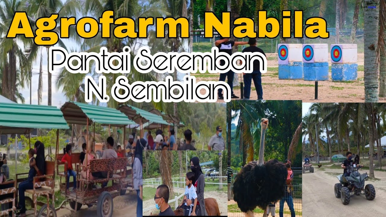 Outdoor Activity Agrofarm Nabila Pantai Seremban Negeri Sembilan sukan
