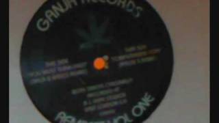 DJ HYPE COMPUTERISED COPS(PASCALS REMIX)