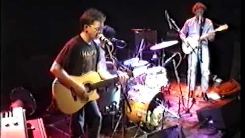 The Clean - The Back Of Her Hand (live at the Glue...
