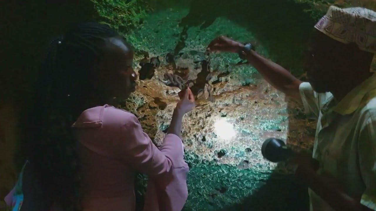 shimoni slave caves in kenya ... indian ocean slave trade