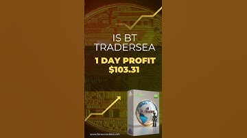 How I Made $100 in 1 Day with BT TraderSea | Full Strategy Revealed! #automatedtrading #forextrading