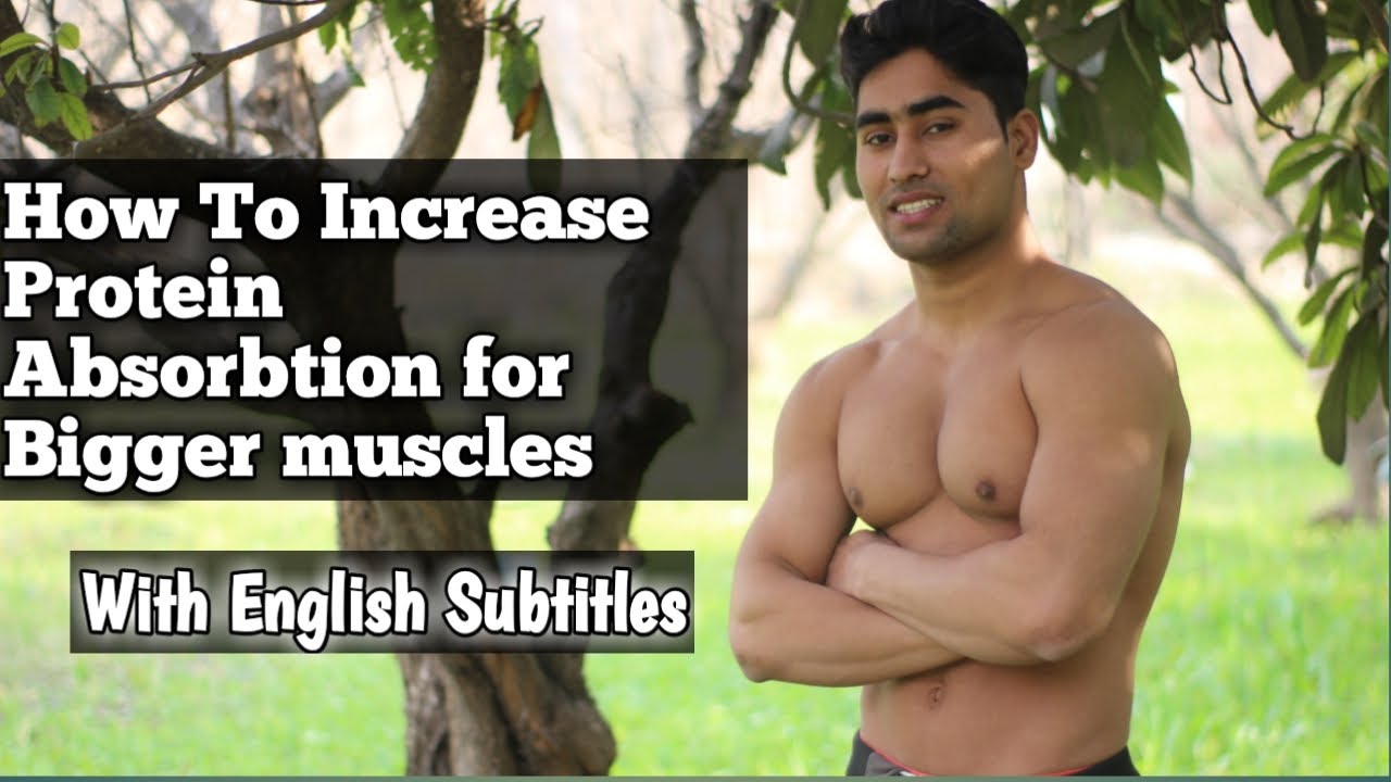 How to absorb more protein for bigger muscles?/Natural Ways/Stay N