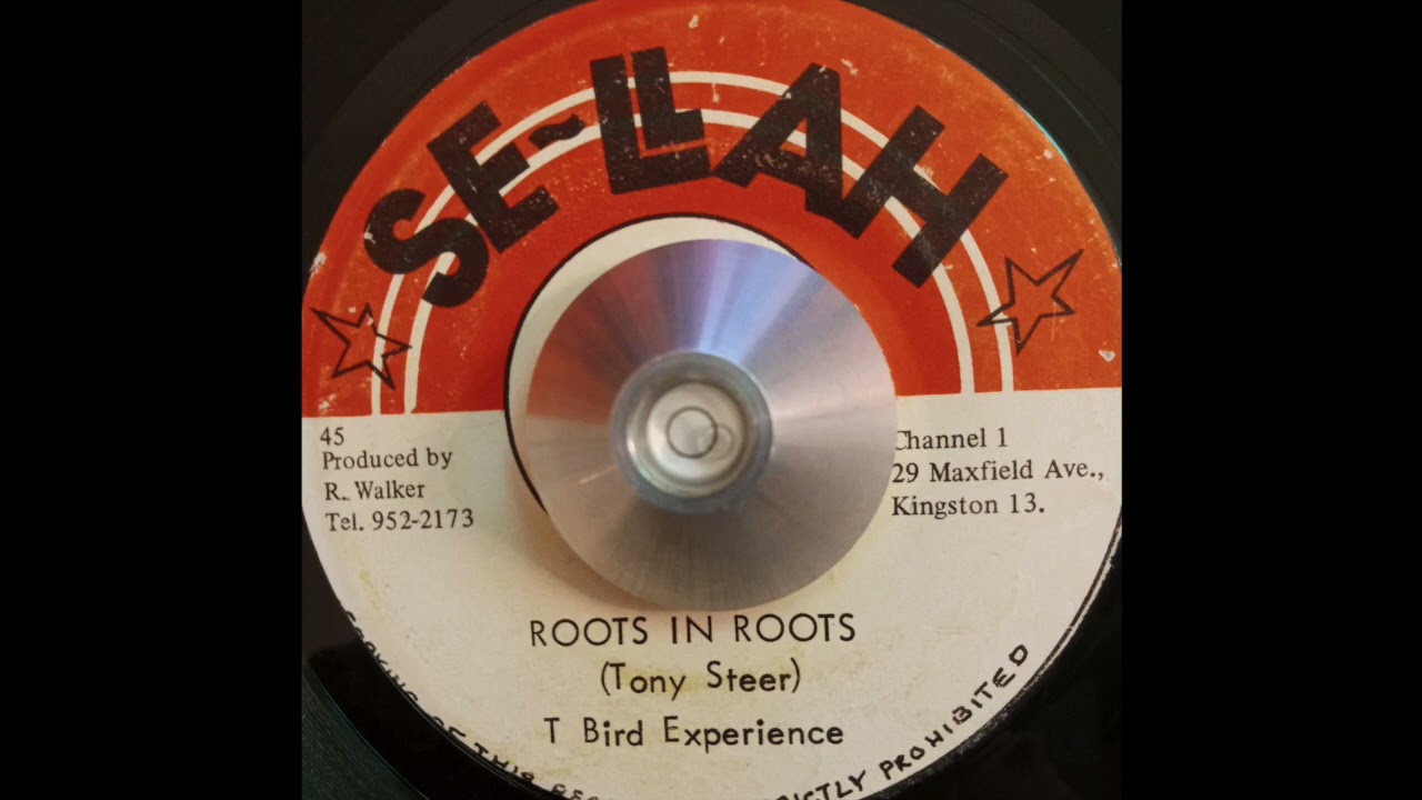 T Bird Experience - Roots In Roots & Roots Dub (Se-llah) 197?
