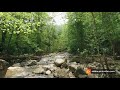 Meditation, Nature Music, Relax ,Feel  #shorts