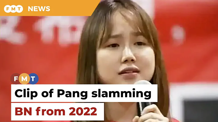 Clip of Pang criticising BN from 2022, says Teo - DayDayNews