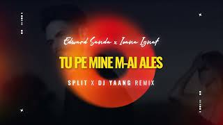 Download Lagu Edward Sanda x Ioana Ignat - Tu pe mine m-ai ales (SPLIT X DJ Yaang Remix) MP3