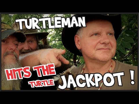 Vidéo: Valeur nette de Turtle Man: Wiki, Marié, Famille, Mariage, Salaire, Frères et sœurs