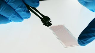 Microdroplets for drug discovery: Nominated for the Spark Award
