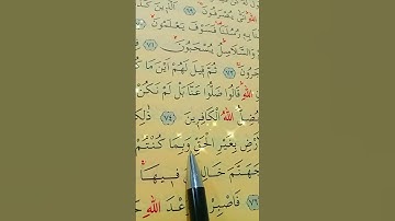 سورة غافر الأية 74 إلى 77 بصوت سعد الغامدي