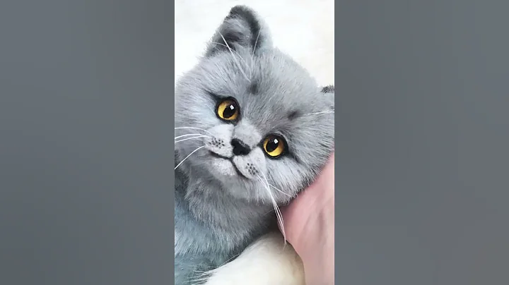 Watch the video about 3D Custom Plush Cat Toy #plushies #animallover #plushies #mainecoon #plush #catsofyoutube #cats